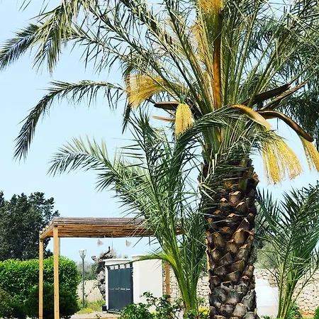 La Casa di Flò Salento Vila Alezio Exterior foto