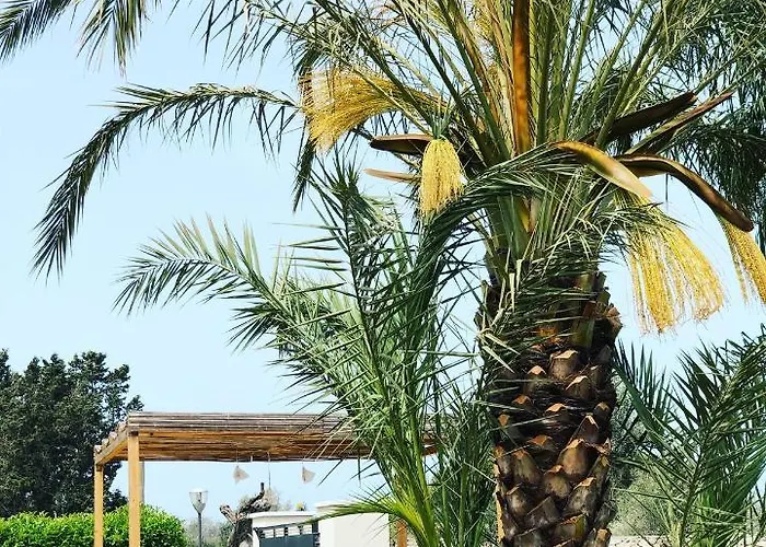 La Casa Di Flo Luxury Rooms
